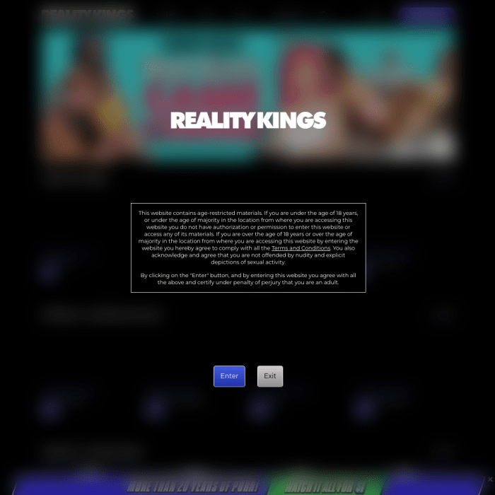 realitykings.com
